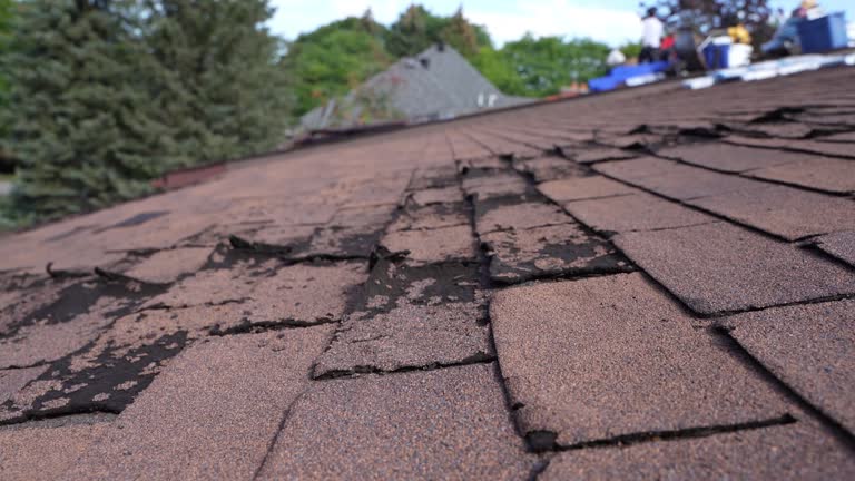 Best Storm Damage Roof Repair  in Rocky River, OH